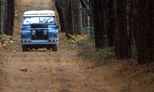 Series IIA Land Rover cruising through the Miles Standish Forest near Cape Cod, Massachusetts