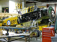 North American Harvard Restoration