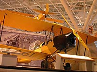 Tiger Moth