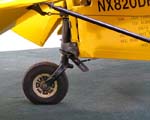 04TigerMothTailWheel