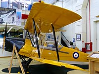 Tiger Moth