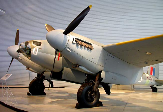 05Mosquito