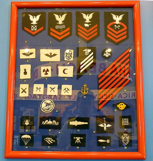 10USNavyInsignias