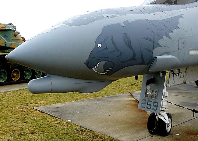 02F4DPhantomNoseArt