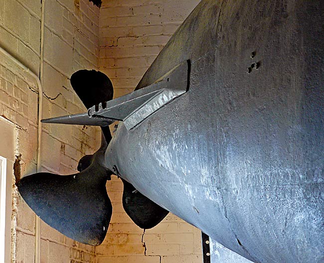 02 Intelligent Whale Propeller