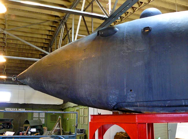 14 Intelligent Whale Port Side