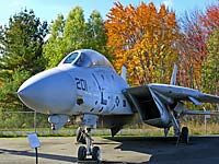 Grumman F-14 Jet Fighter