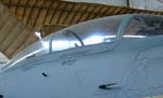 08F14TomcatCanopy