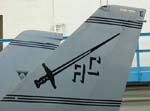 16F14TomcatRudder