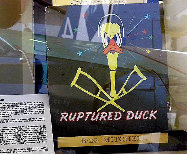 24RupturedDuckNoseArt