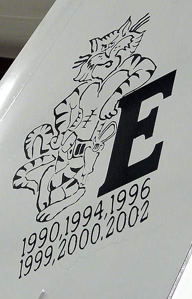 18GrummanF14Insignia