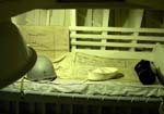 16CrewsBunks