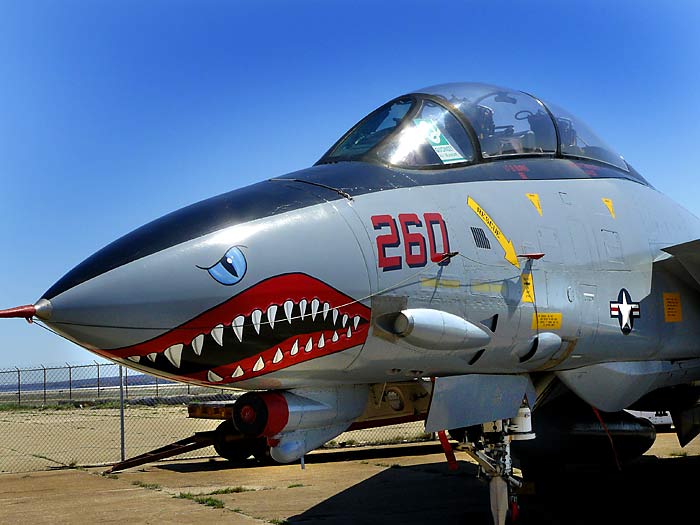 02GrummanF14TomcatNose