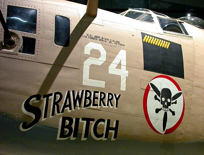 18B24StrawberryBitch