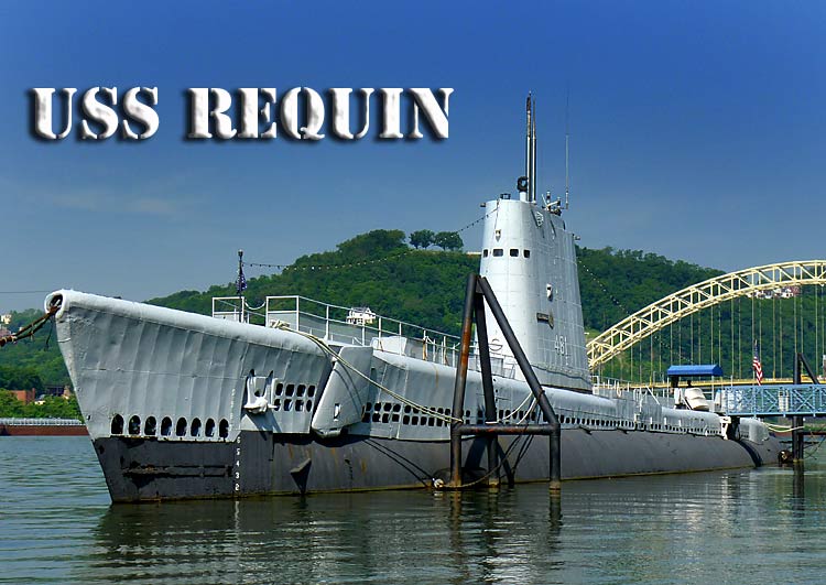 USS Requin