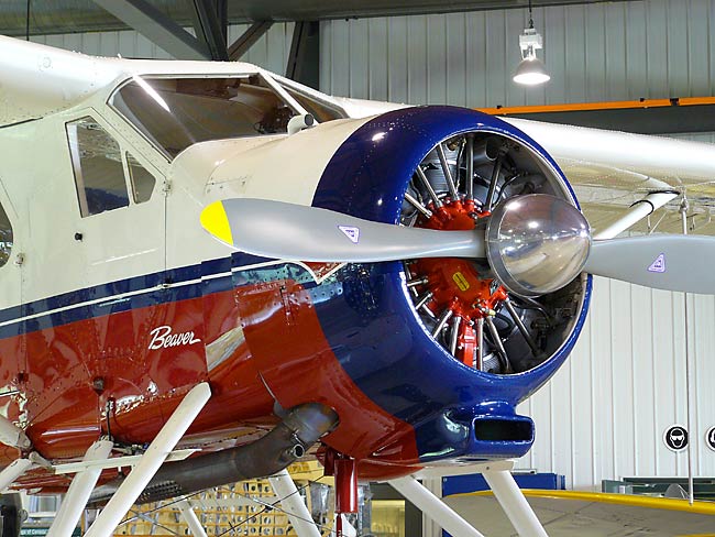 14DeHavillandBeaverNose