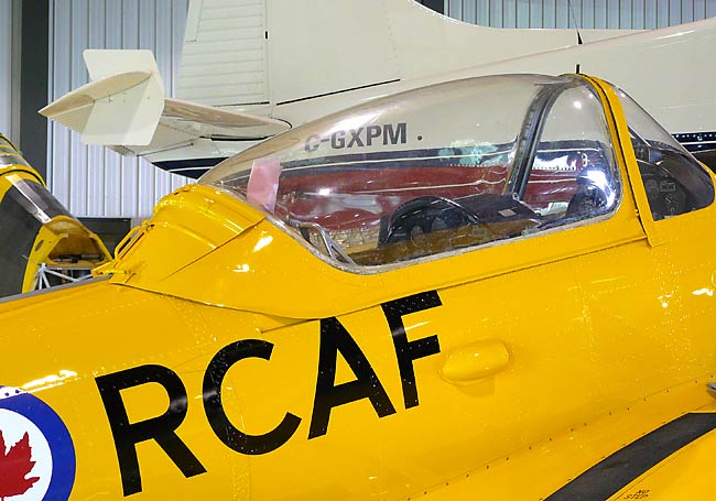 11ChipmunkCanopy
