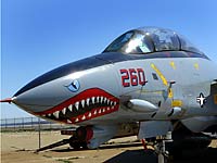 F-14 Tomcat Jet Fighter