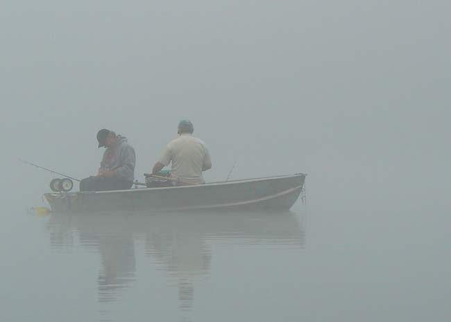 01FogFishing