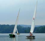 03AugustSailingRaces