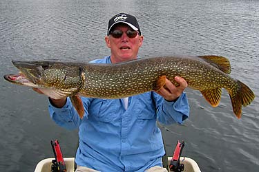 Northern Pike