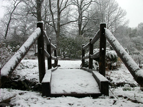 Laurel Gardens in Winter