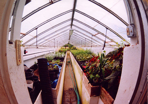 19Greenhouse