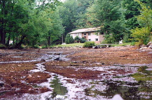 01SouthwestCove
