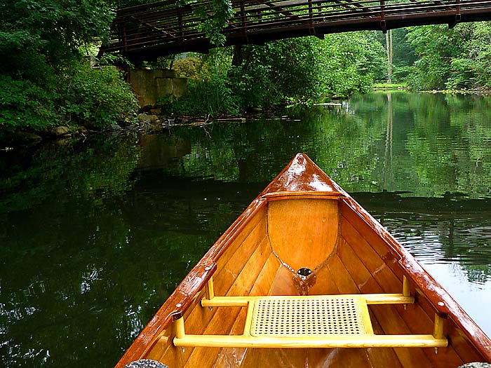 18 Paddling Sassafras