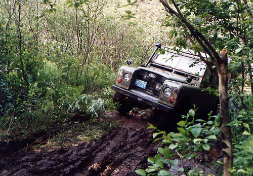 47VeryMuddy