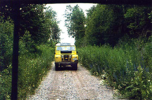yellow88