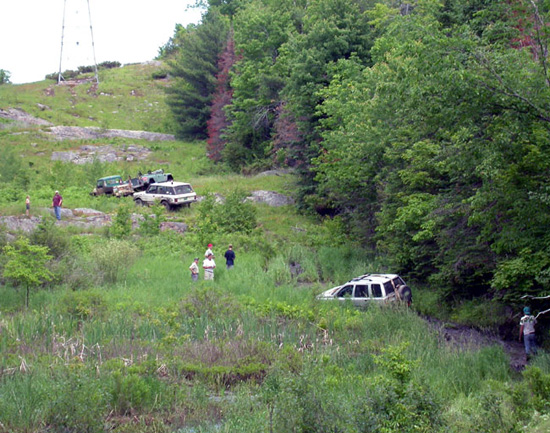 19Freelander