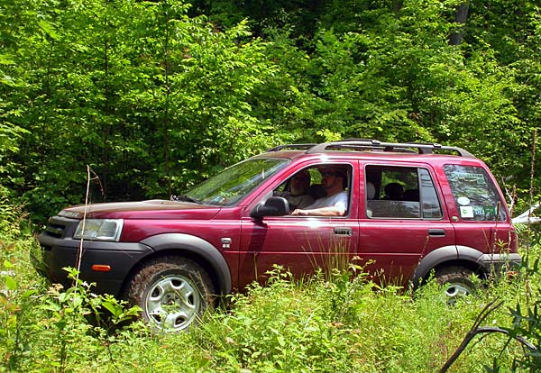 38Freelander