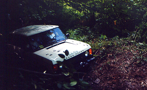 30Bernie