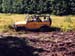 21YellowD90