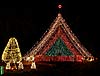 Christmas Tree in Pond