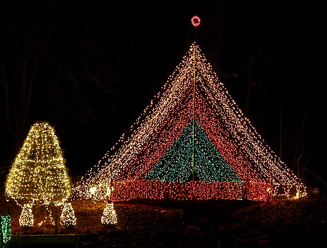 Elvis House Christmas Tree in Pond