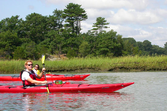 11PaddleMates