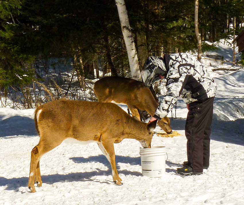 70SugarShack