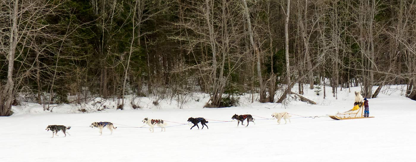 18DogSledders