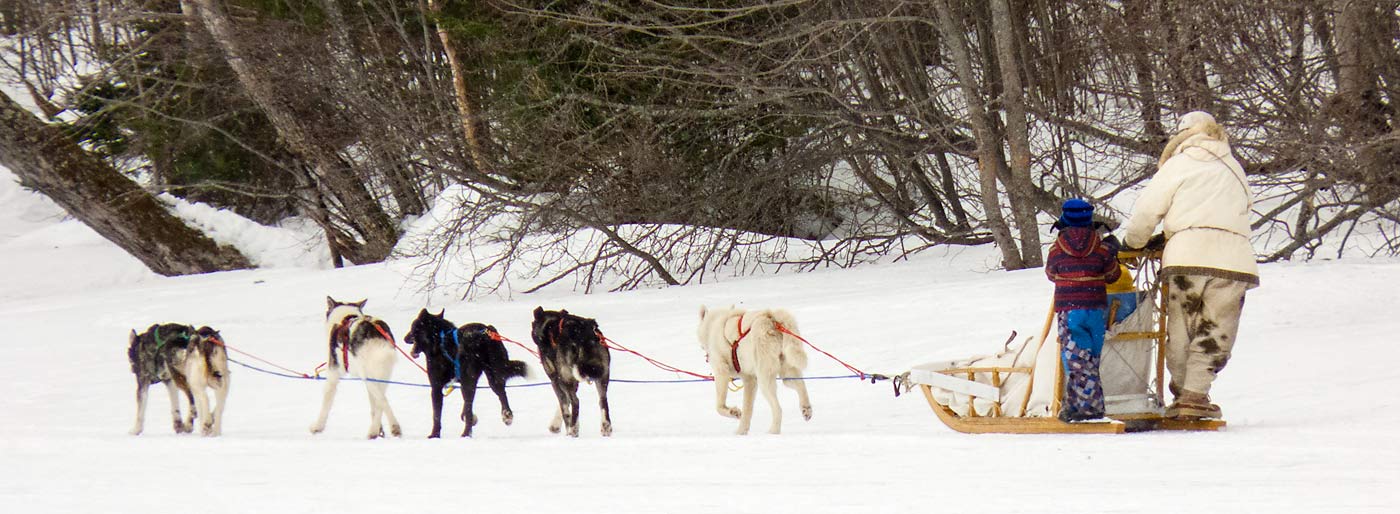 21DogSledders