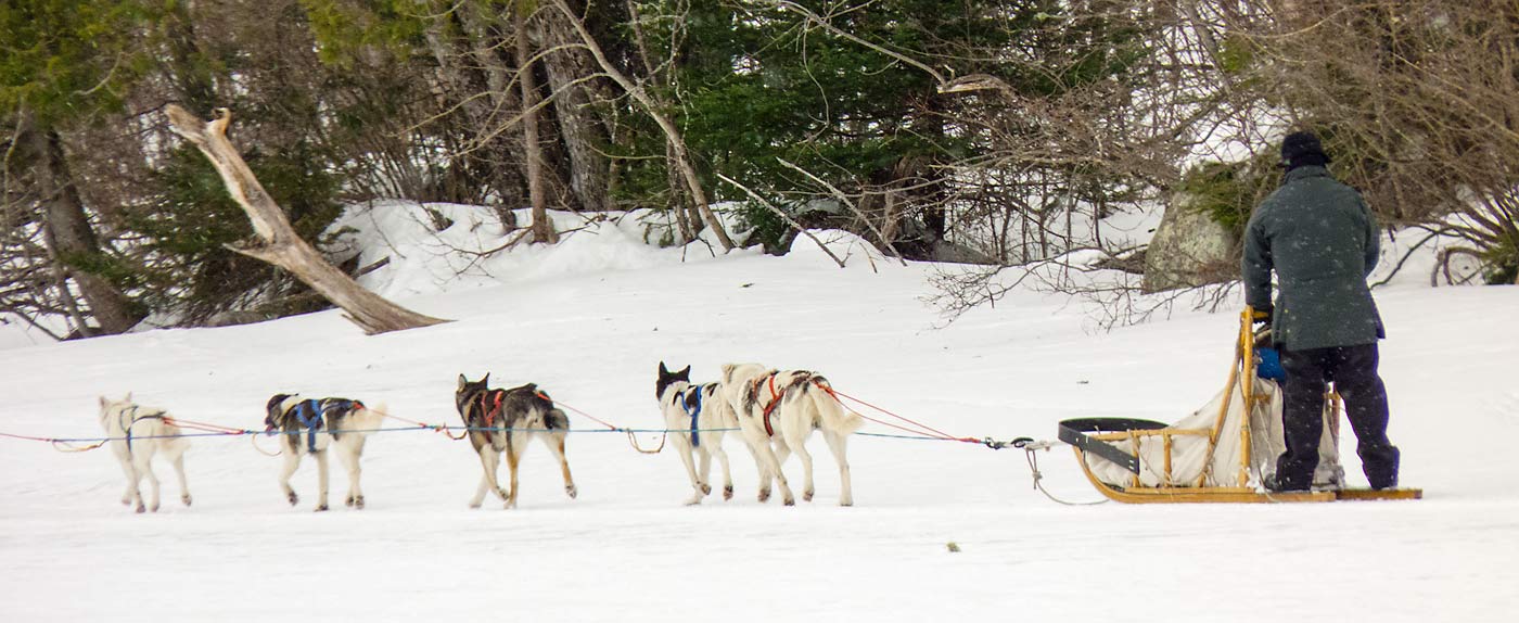 22DogSledders