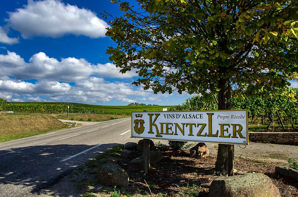 10KientzlerWinery