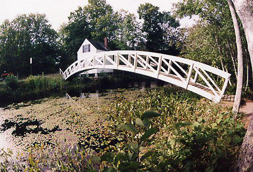 Bridge1