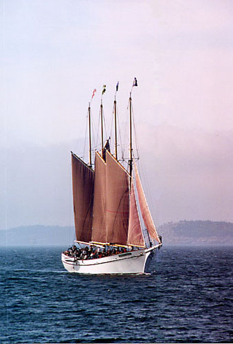 MargaretToddSail2