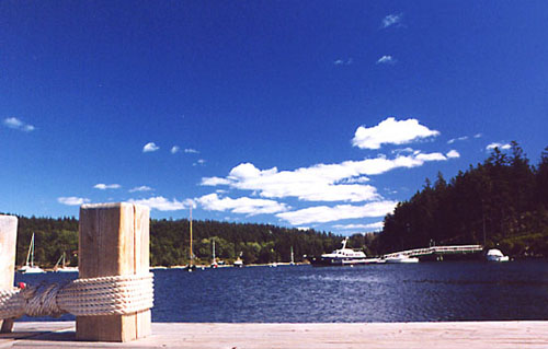 NatureCruiseDock