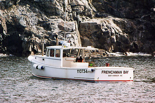 NatureCruiseLobserBoat