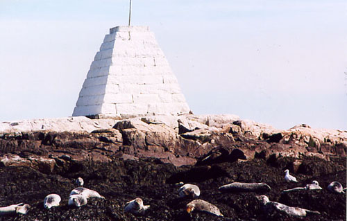 NatureCruiseSeals