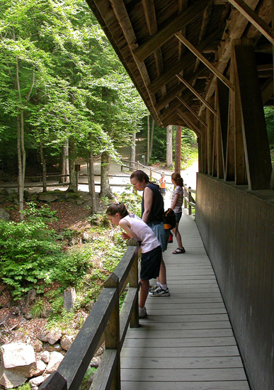 03CoveredBridge