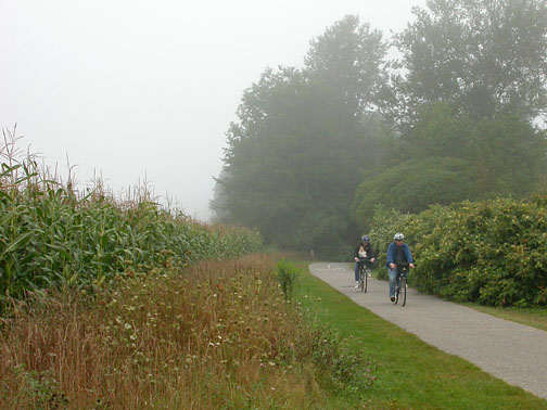 13FoggyPath